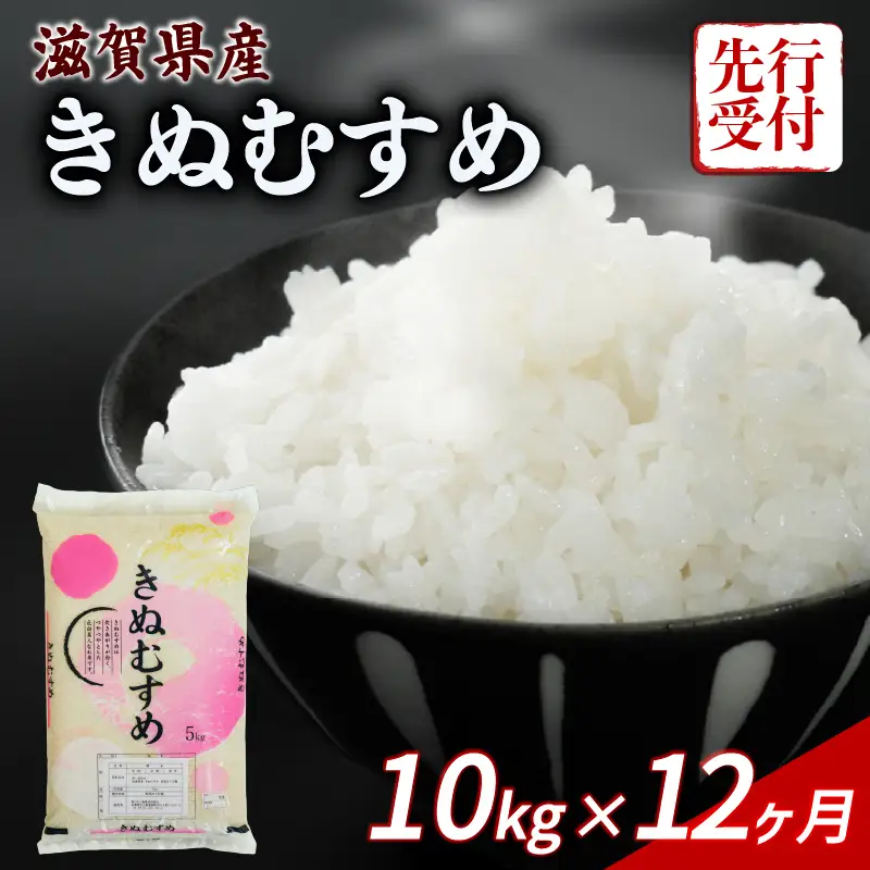 新米 先行予約 きぬむすめ 10kg 12回定期便  新米【令和8年産】