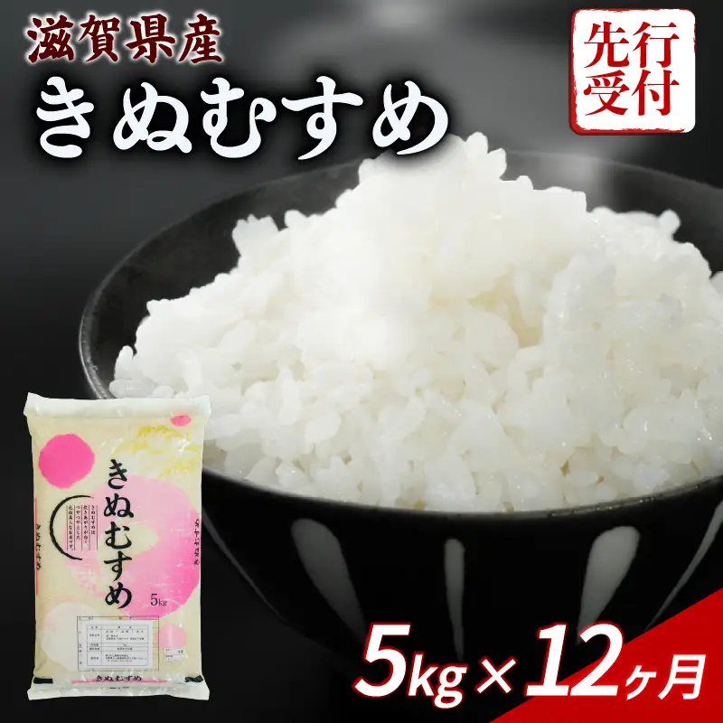  新米 先行予約 きぬむすめ 5kg 12回定期便  新米【令和8年産】