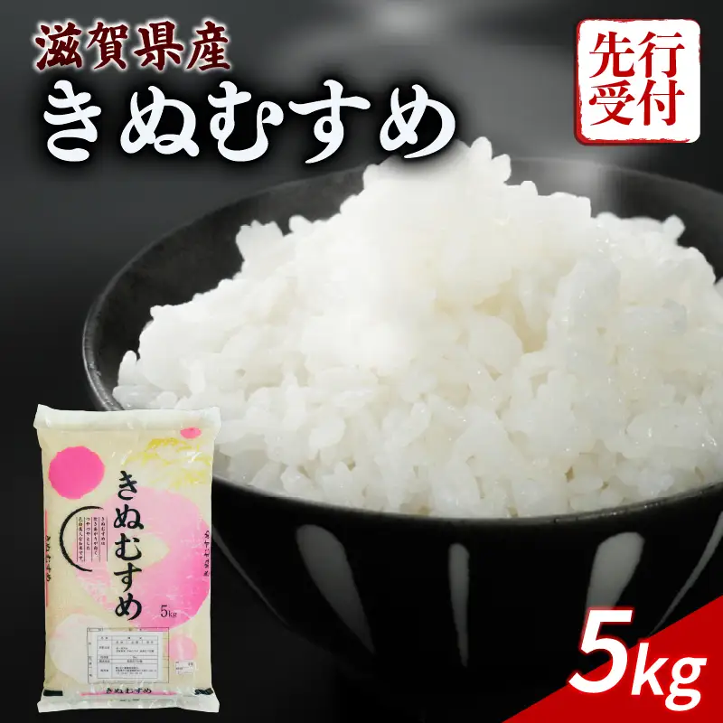 新米 令和8年産 きぬむすめ 白米 5kg 2026年産