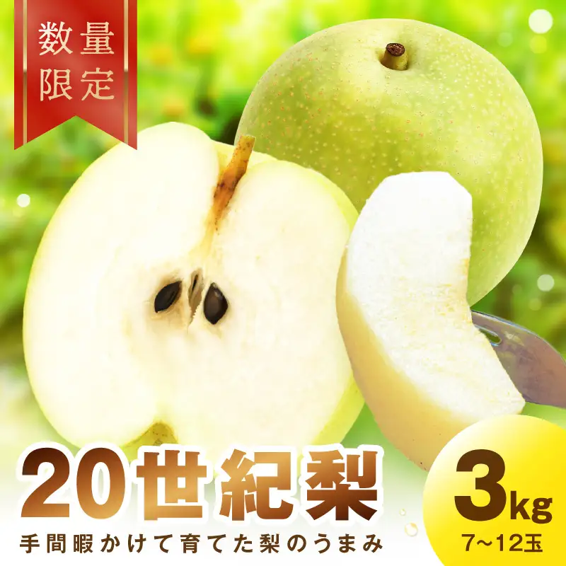 【先行予約／数量限定100】廿世紀梨 3kg（2026年9月上旬～発送）　フルーツ くだもの 国産 梨 二十世紀 20世紀 廿世紀 ふるさと 納税 梨 ふるさと納税 フルーツ ふるさと 納税 20世紀梨