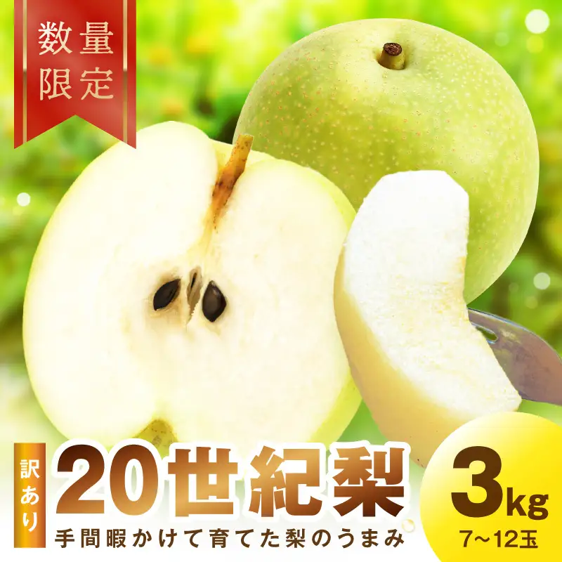 【先行予約／数量限定100】訳あり 廿世紀梨 3kg（2026年9月上旬～発送）フルーツ くだもの 国産 梨 二十世紀 20世紀 廿世紀 ふるさと 納税 梨 ふるさと納税 フルーツ ふるさと 納税 20世紀梨 わけあり ワケアリ 訳有り