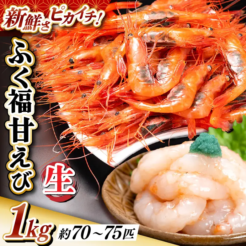 先行予約 新鮮 ふく福甘えび（生）1kg 2026年9月上旬以降順次発送予定 冷蔵発送 エビ 海老 [B-13503]