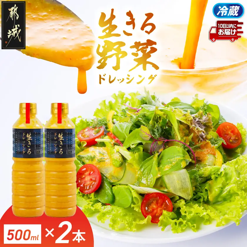 肉や野菜に!生きる野菜ドレッシングソース 500ml×2本≪みやこんじょ特急便≫〔21-E4-001-2-Q〕_(都城市) 