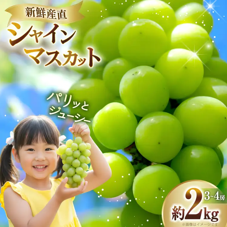 【期間限定発送】 シャインマスカット 3～4房 約2kg