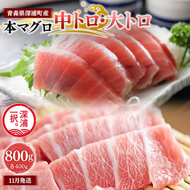 天然本マグロ  中トロ 大トロ 800g 各400g 【fu-0015-025_11】