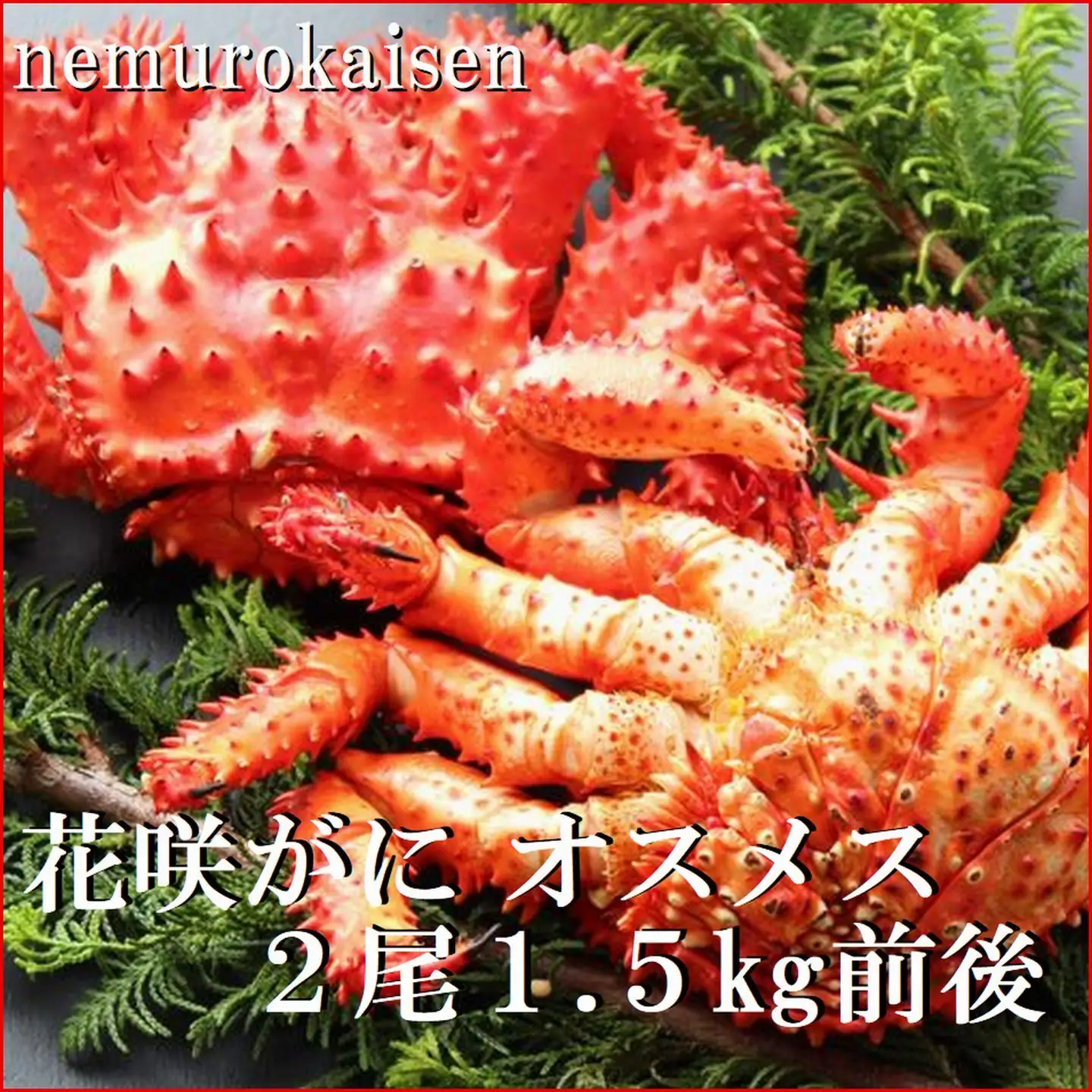 【北海道根室産】花咲ガニオスメス(内子入り)各1尾(計1.5kg前後) C-57062