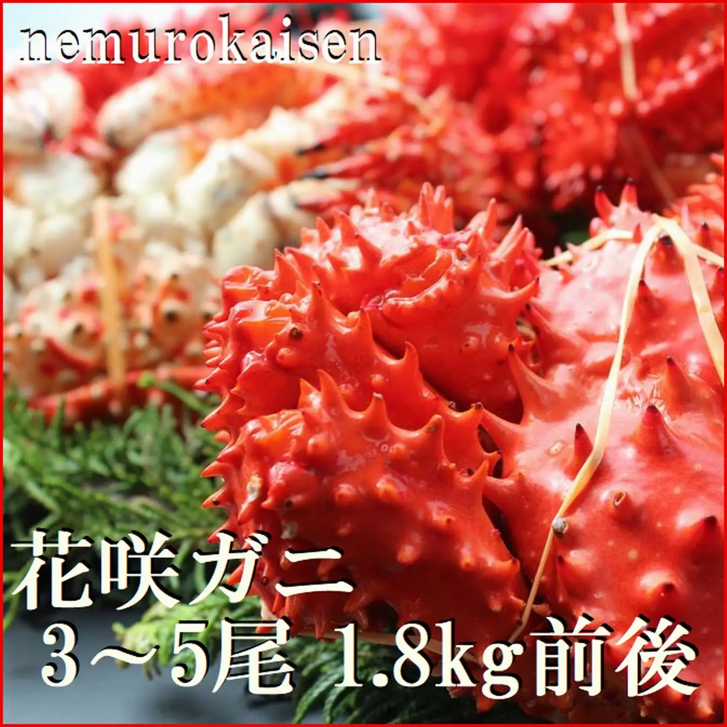 【北海道根室産】茹でたて花咲ガニ3～5尾 計1.8kg前後(チルド便) B-57032