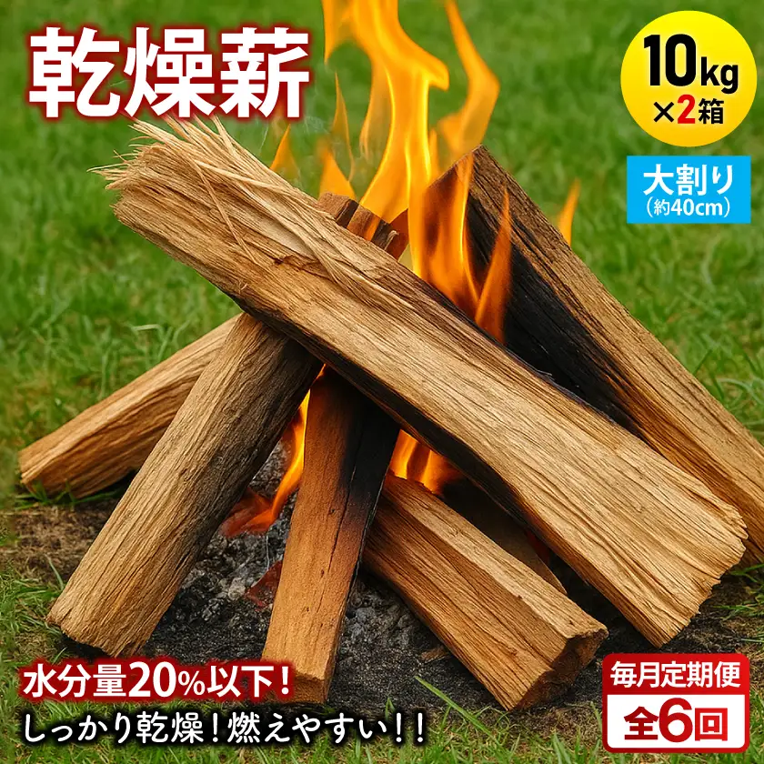【毎月定期便】乾燥薪 キャンプ用 10kg×2箱 大割(約40cm) 広葉樹ミックス全6回【4087743】