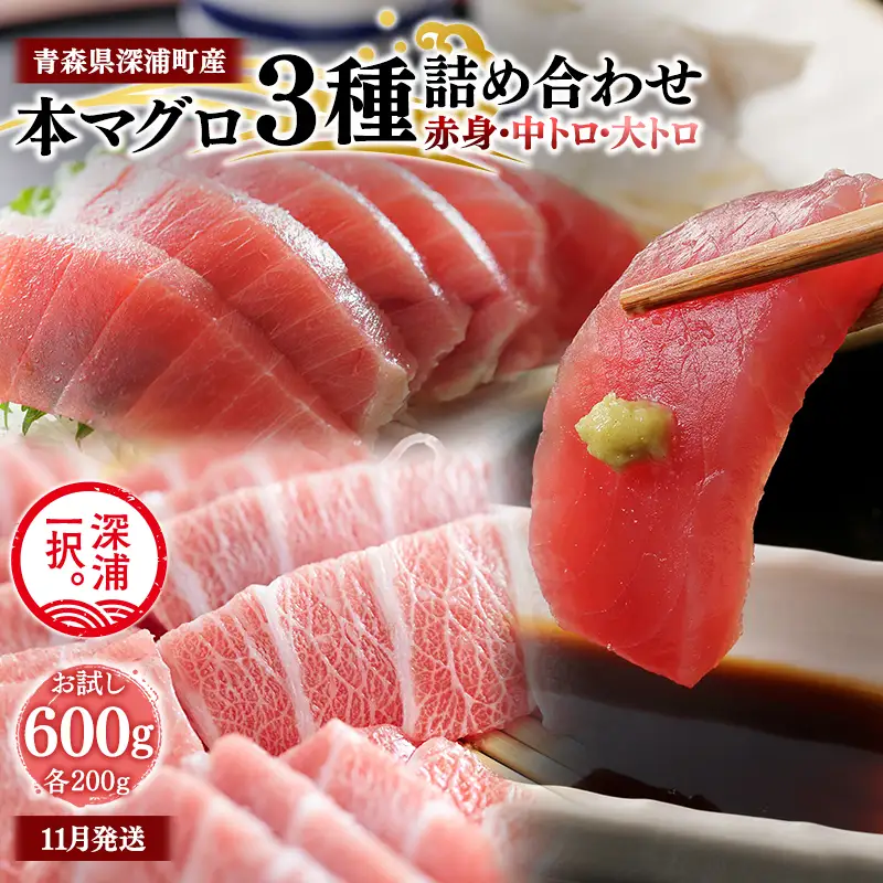  本まぐろ 赤身 中トロ 大トロ 600g 各200g  【fu-0015-027_11】