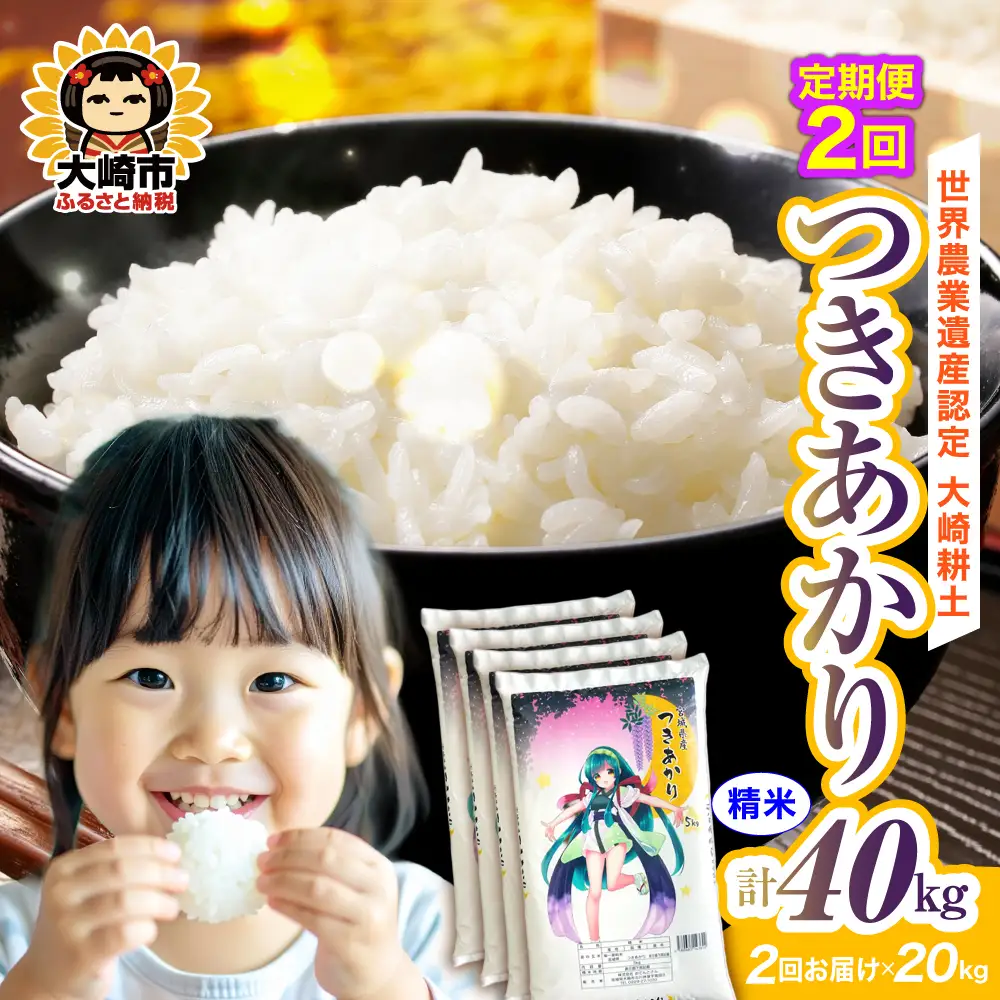 定期便《精米》令和7年 宮城県産 つきあかり 20kg(5kg×4)×2回（計40kg） | ot006-ta-20kg-r704-t2