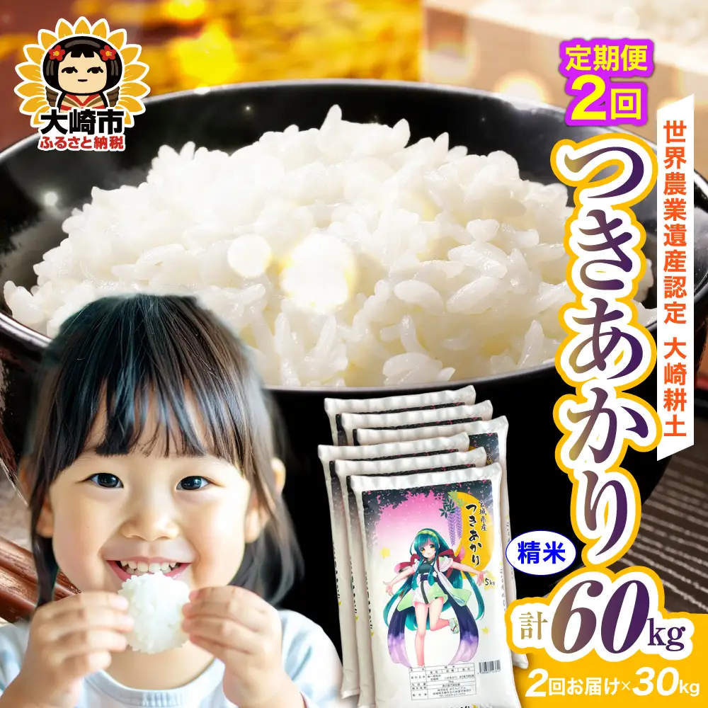 定期便《精米》令和7年 宮城県産 つきあかり 30kg(5kg×6)×2回（計60kg） | ot006-ta-30kg-r704-t2