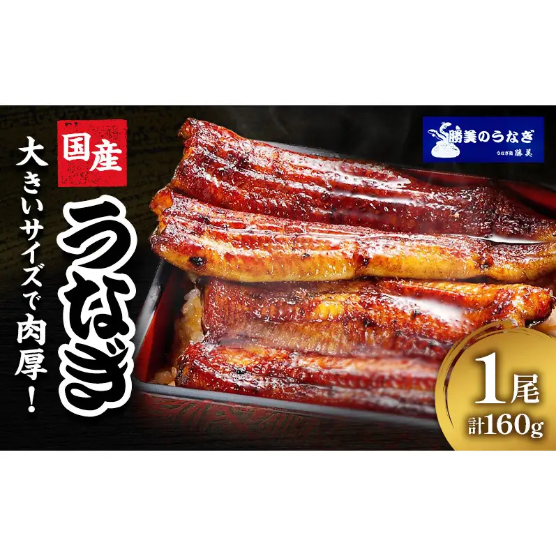国産 うなぎ 蒲焼 1尾 (約160g×1尾 タレ75ml×1本 山椒×1袋) 鰻 国産 浜松うなぎ 浜名湖うなぎ 蒲焼き プレゼント 贈答 浜名湖 産地直送 冷凍 冷凍配送 静岡 浜松市