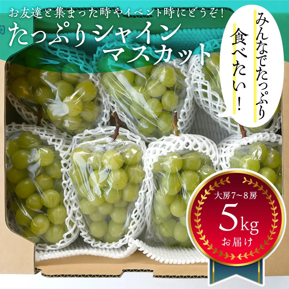 岡山県産 たっぷりシャインマスカット5Kg 大房7〜8房