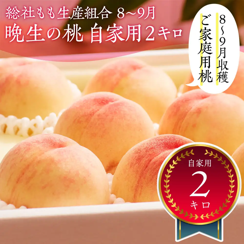 総社もも生産組合　8月-9月晩生の桃　自家用2kg【8月以降発送】