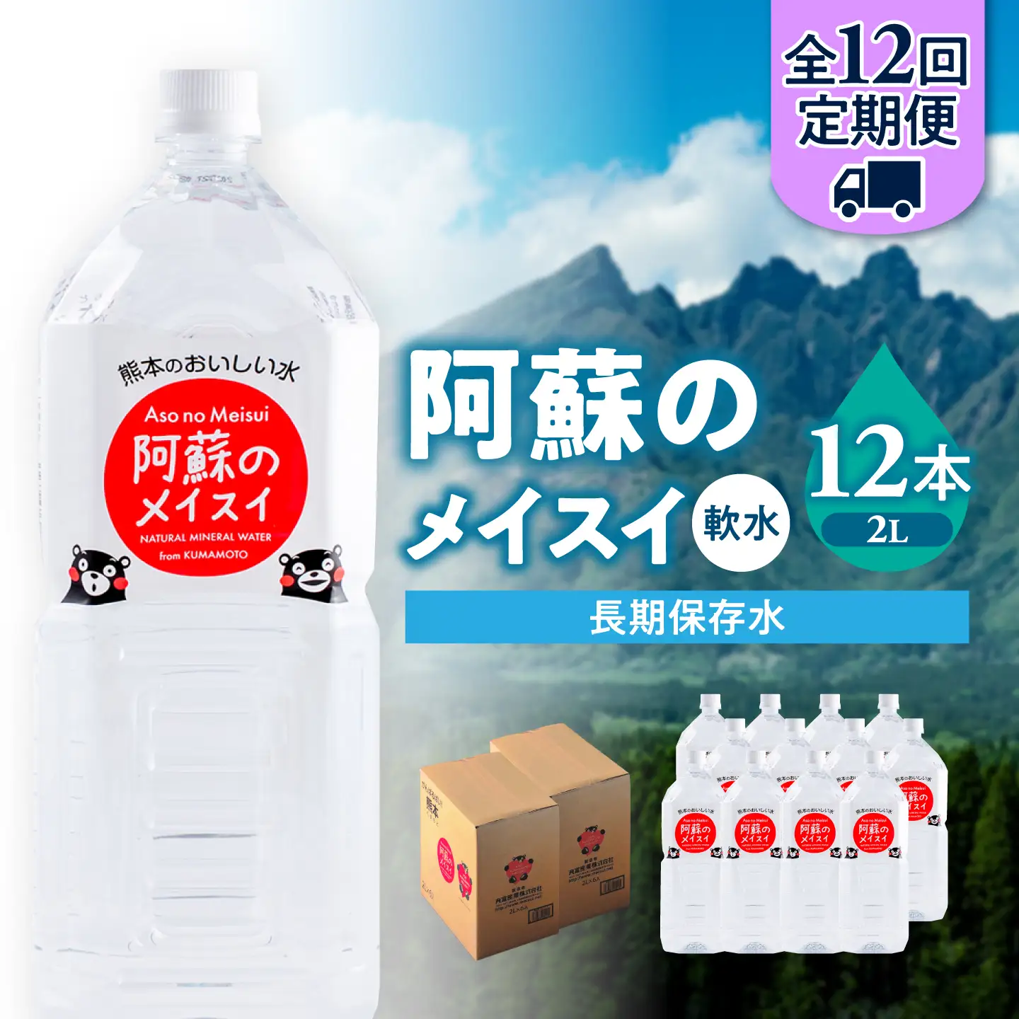 【全12回定期便】熊本 阿蘇のメイスイ 2L × 6本 2ケース（計12本） 天然水 水 ミネラルウォーター 保存 2年 【丸富産業株式会社】[AYDB030]