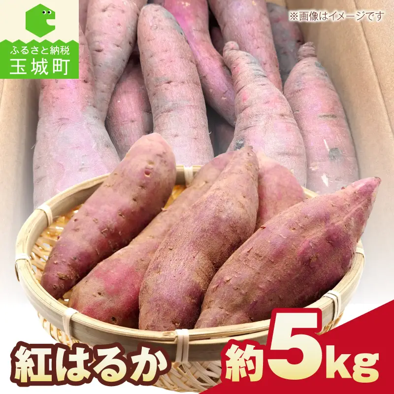 【先行予約】さつまいも（紅はるか） 約5kg