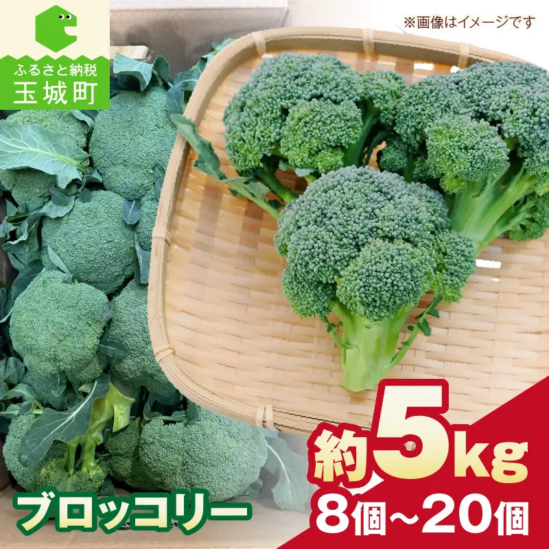 【先行予約】ブロッコリー 約5kg