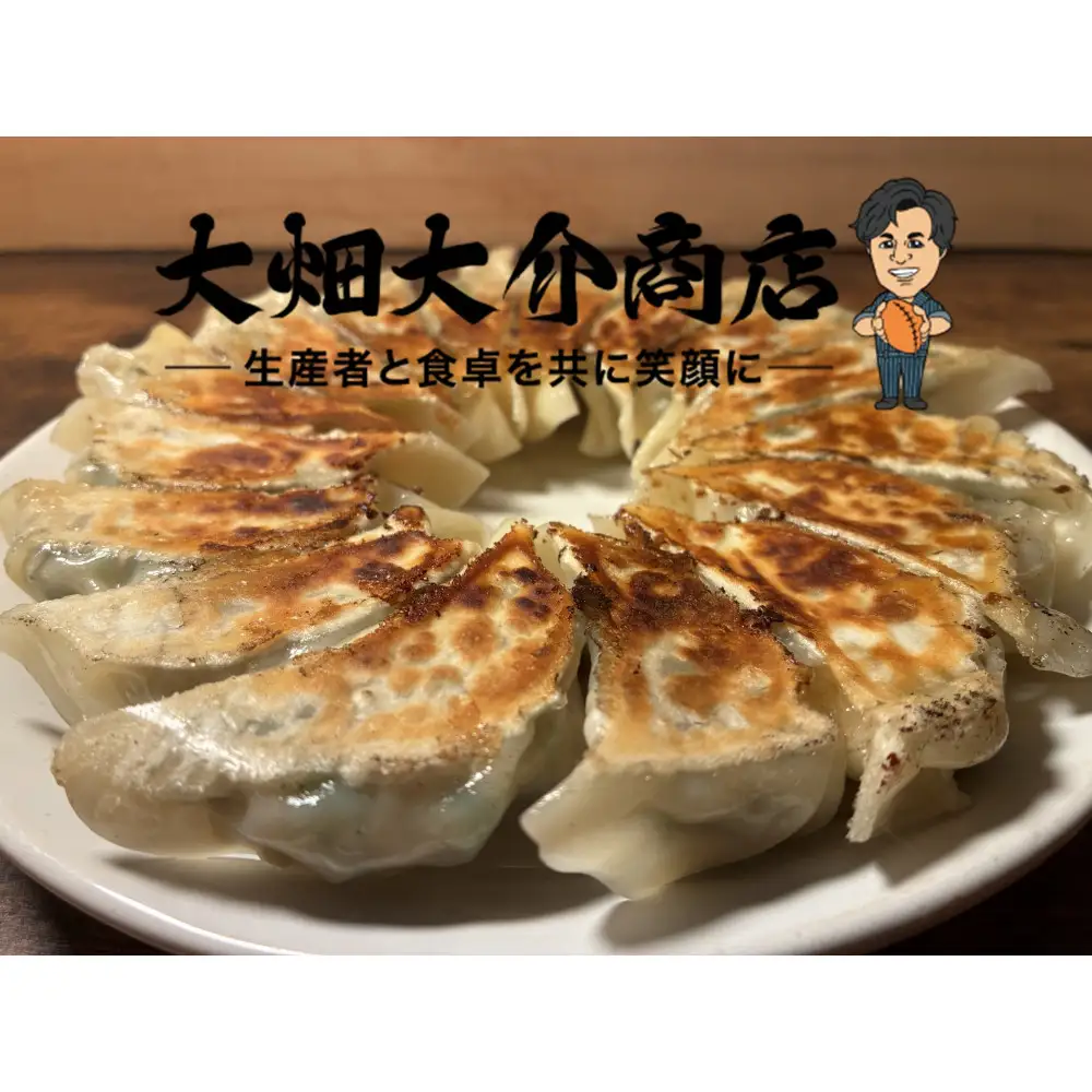 【京阪百貨店厳選】大畑大介商店オリジナル　ダイスケのジャンボねぎ餃子 10個×2P