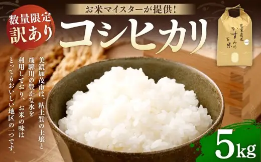 【 数量限定 ・ 訳あり 】令和7年産 コシヒカリ（ 5kg ）