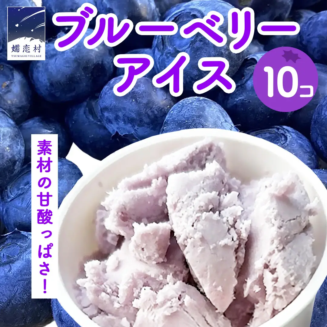 嬬恋村 の 農園アイス ブルーベリー 100ml 10個入り [AT021tu]