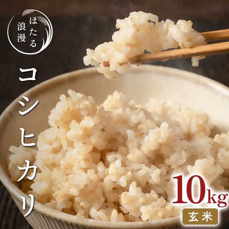 ほたる浪漫のこだわり米 コシヒカリ 玄米 10kg 米 玄米 コメ ごはん ご飯 食品  F25R-152