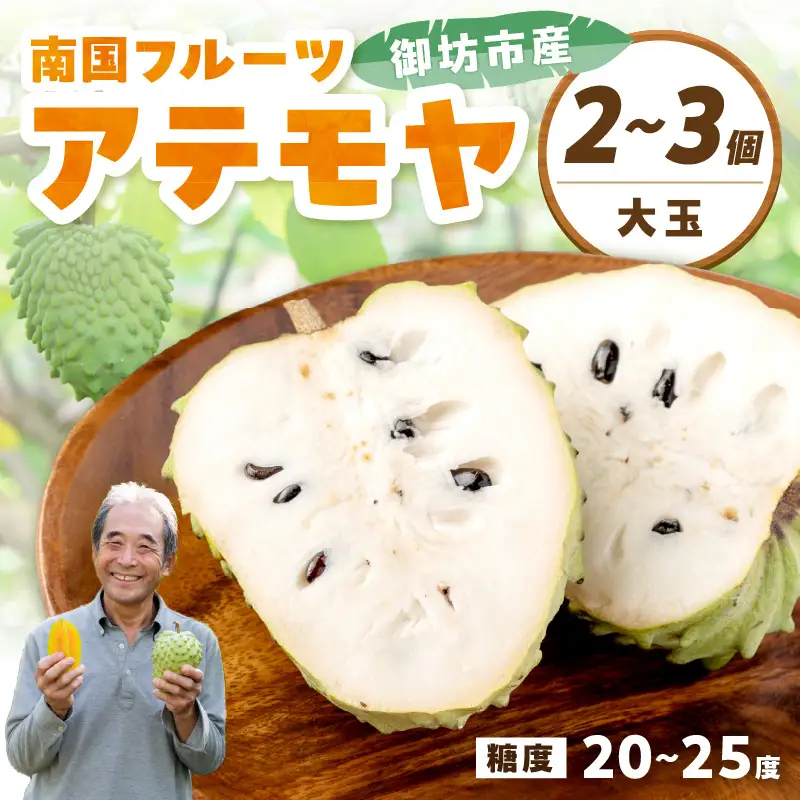 御坊市産 南国フルーツ アテモヤ2～3個大玉（1kg程度）≪先行予約≫2026年10月中旬頃から順次発送予定【1214】