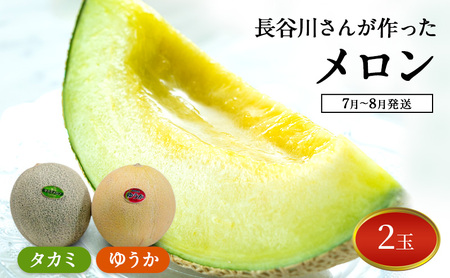【先行予約】メロン 2玉 ゆうか タカミ メロン