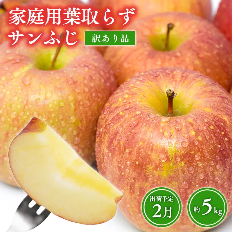 りんご サンふじ 訳あり 約5kg りんご