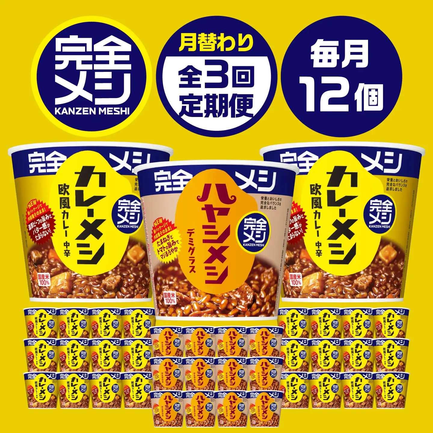 【3回定期便】完全メシバリエーション定期便(欧風カレー・ハヤシメシ デミグラス・欧風カレー) BIBI042 