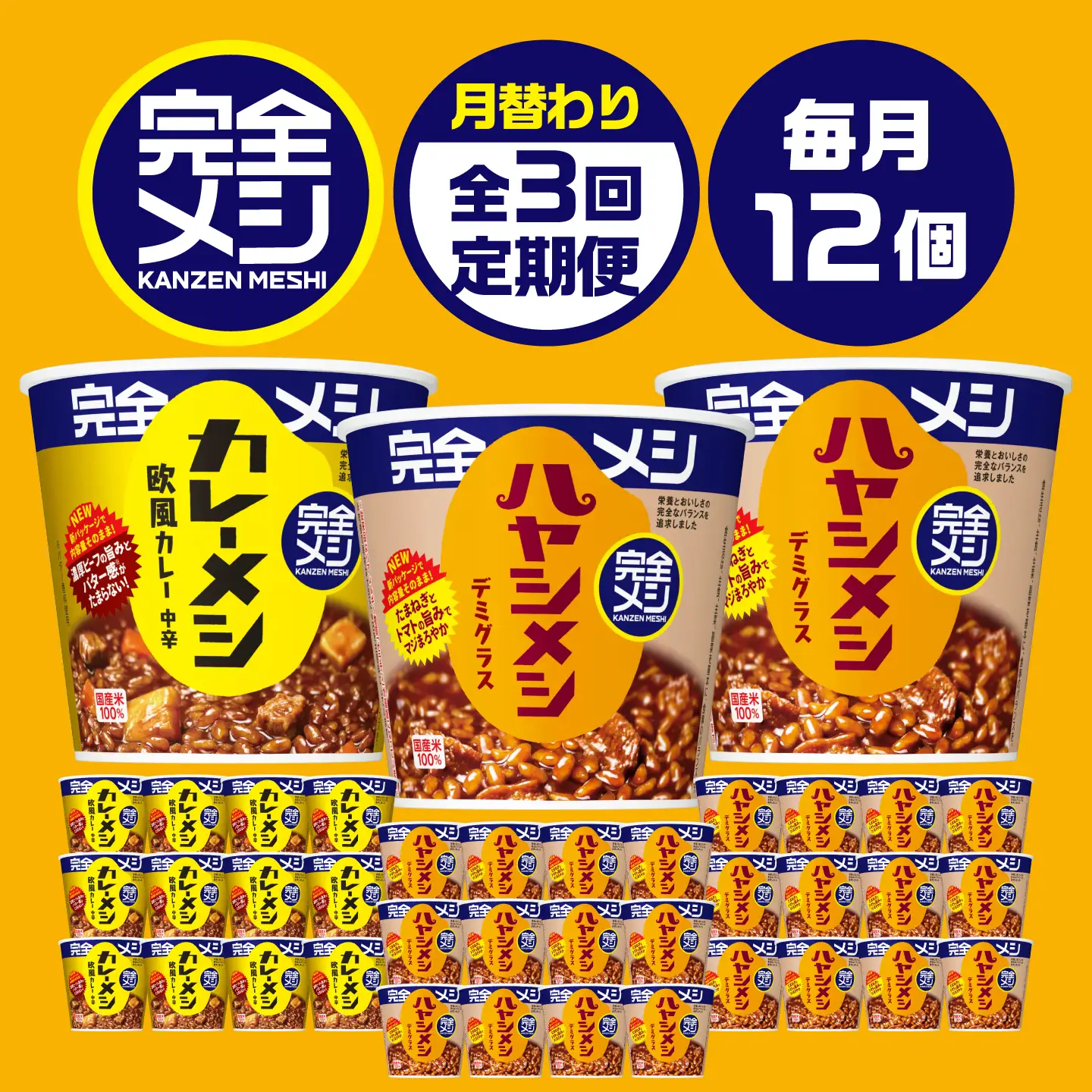 【3回定期便】完全メシバリエーション定期便（欧風カレー・ハヤシメシ デミグラス・ハヤシメシ デミグラス）[BIBI043]