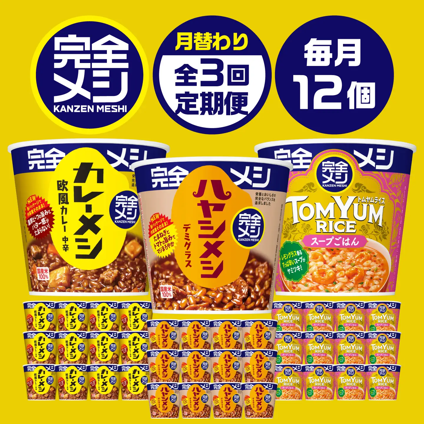 【3回定期便】完全メシバリエーション定期便（欧風カレー・ハヤシメシ デミグラス・トムヤムライス）[BIBI044]
