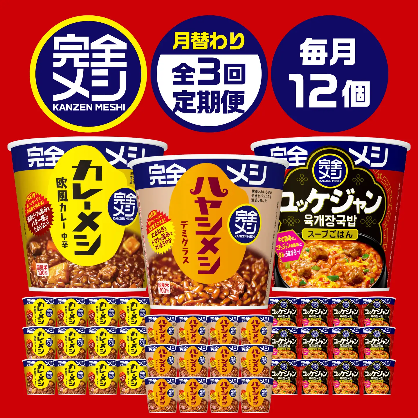 【3回定期便】完全メシバリエーション定期便（欧風カレー・ハヤシメシ デミグラス・旨辛ユッケジャン）[BIBI045]