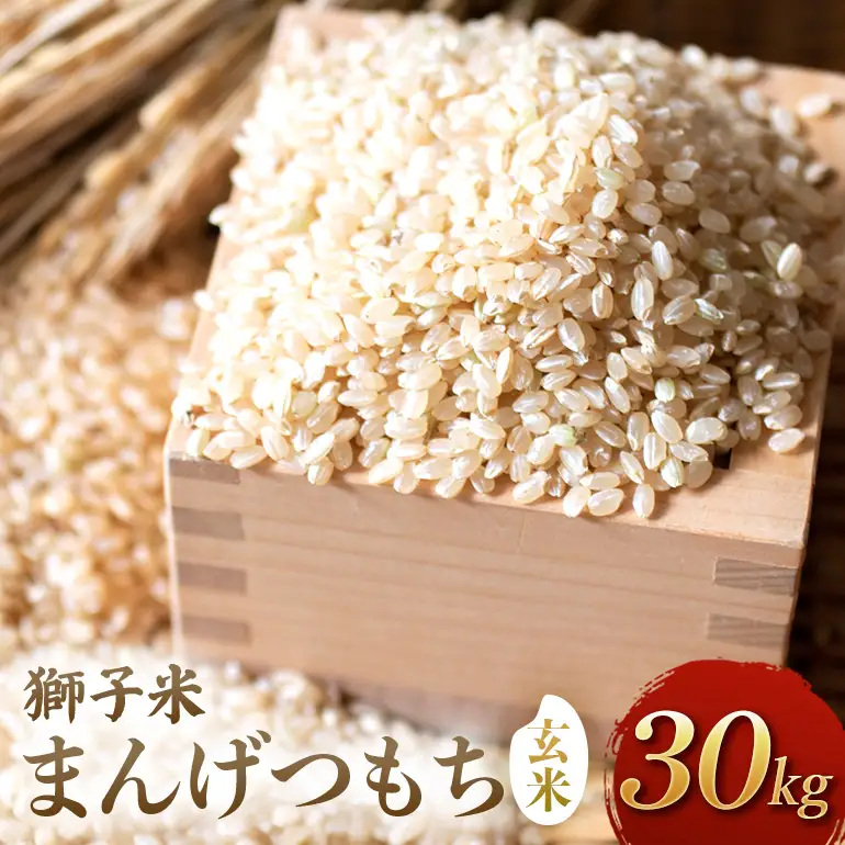 【令和8年産先行予約】獅子米まんげつもち（玄米）30kg B02-104
