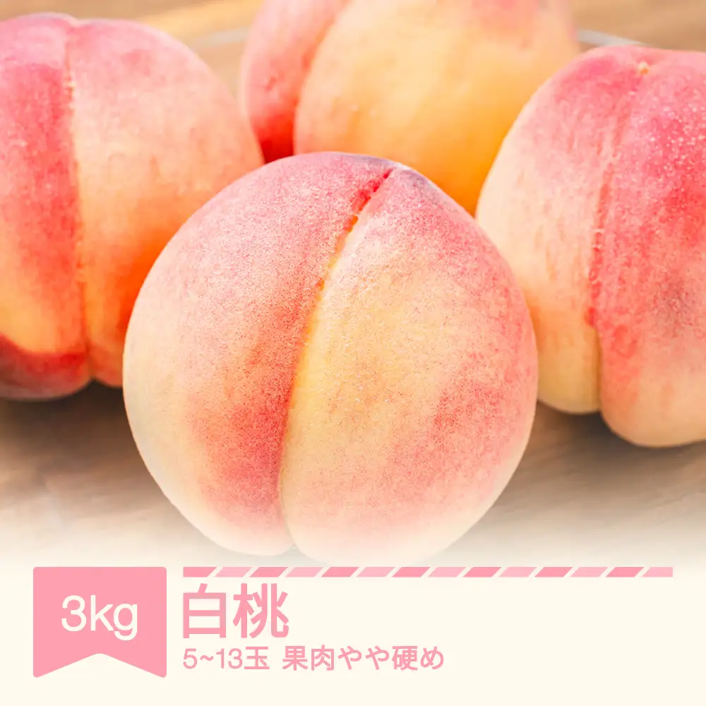 令和8年産 白桃 約3kg (5~13玉)  柔らかくなる品種・果肉やや硬め sp-mohtx3000