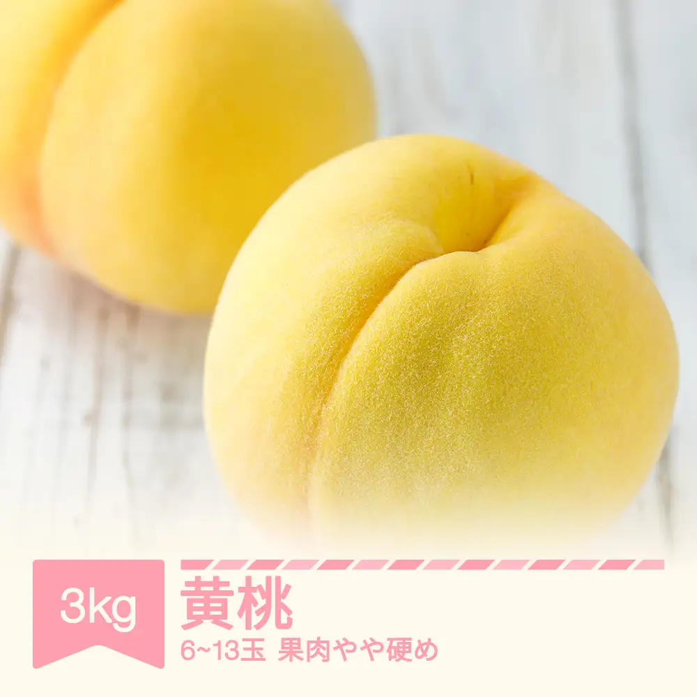 令和8年産 黄桃 約3kg (6~13玉) 柔らかくなる品種・果肉やや硬め sp-mootx3000