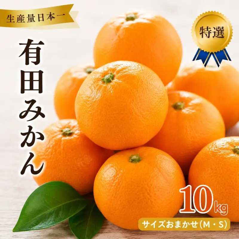 特選 紀州 有田 みかん 10kg サイズおまかせ(М・Ｓ)  ※2026年12月上旬～下旬頃発送予定（お届け日指定不可）/ 温州みかん 有田みかん 甘い 高級 和歌山 柑橘【sml004-p-10】
