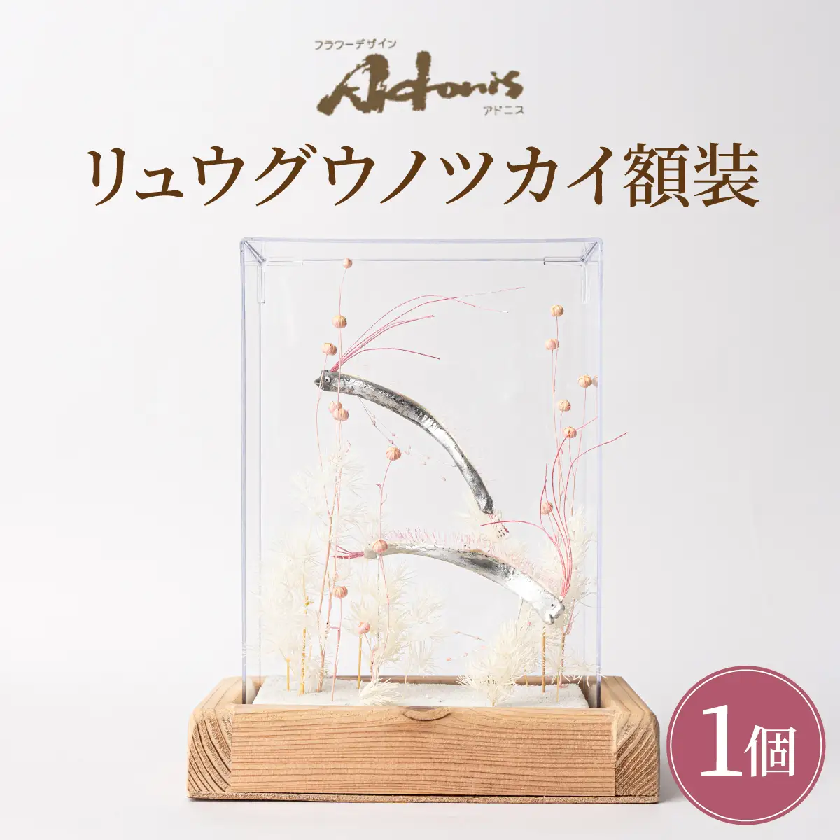 リュウグウノツカイ額装