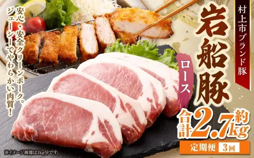 【3回定期便】【村上市 豚】 岩船豚 ロース 約900g（約150g（1枚）×6パック） ／ 肉 にく お肉 豚肉 ぶた肉 ブタ肉 ポーク ロース肉 ジューシー やわらか 小分け 冷凍 国産 001-0013