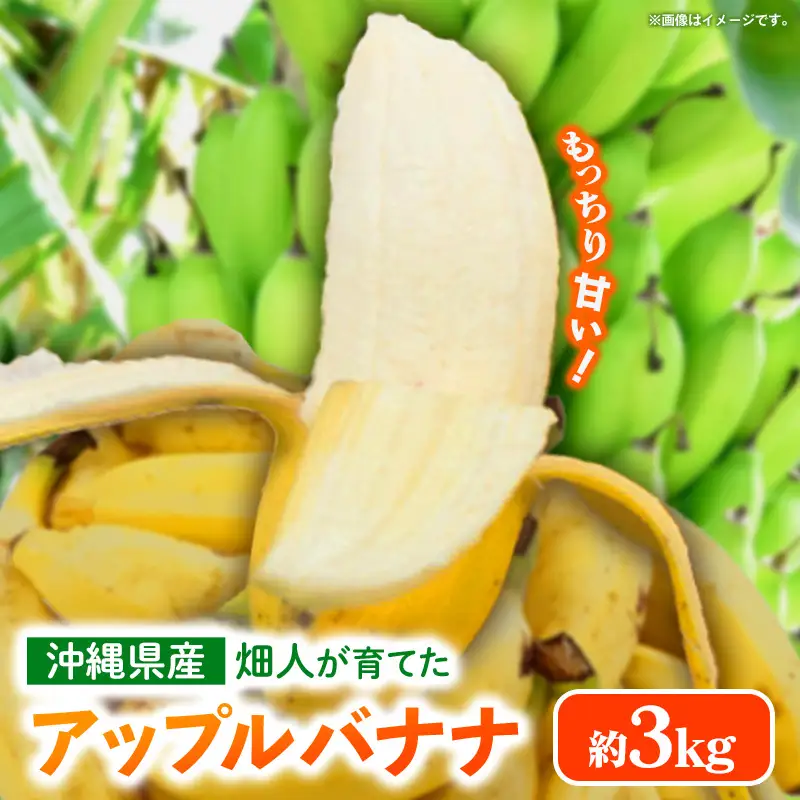 畑人のアップルバナナ 約3kg - バナナ ばなな 小ぶり もっちり とろける 甘さ 追熟 沖縄県 産地直送 果物 フルーツ 南国 朝食 おすすめ 沖縄県 八重瀬町