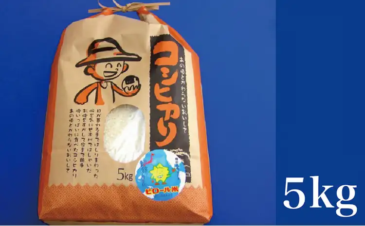こしひかり 白米 ピロール健康米 5kg 福井県越前市産