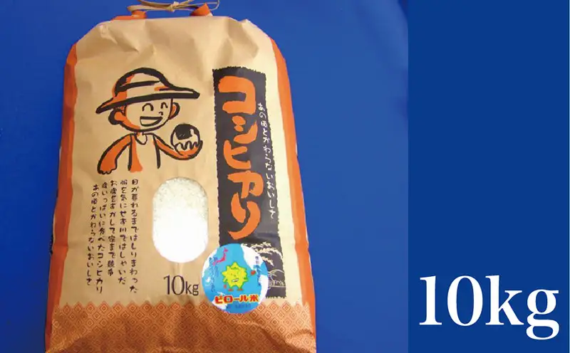 こしひかり 白米 ピロール健康米 10kg 福井県越前市産