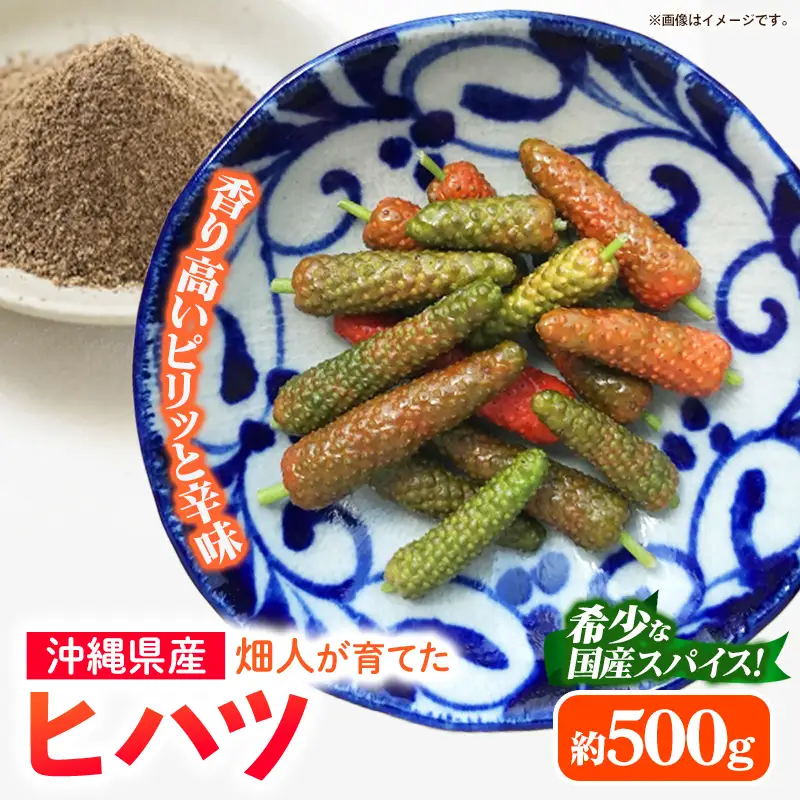 【先行受付・2026年発送】畑人のヒハツ 約500g - ピパーチ ロングペッパー ヒバーチ ナガコショウ フィファチ 国産 沖縄県産 先行予約 スパイス 香辛料 おすすめ 送料無料 八重瀬町