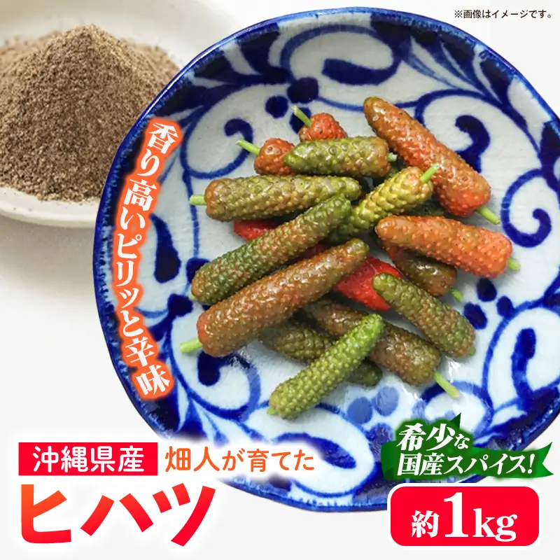 【先行受付・2026年発送】畑人のヒハツ 約1kg - ピパーチ ロングペッパー ヒバーチ ナガコショウ フィファチ 国産 沖縄県産 先行予約 スパイス 香辛料 おすすめ 送料無料 八重瀬町
