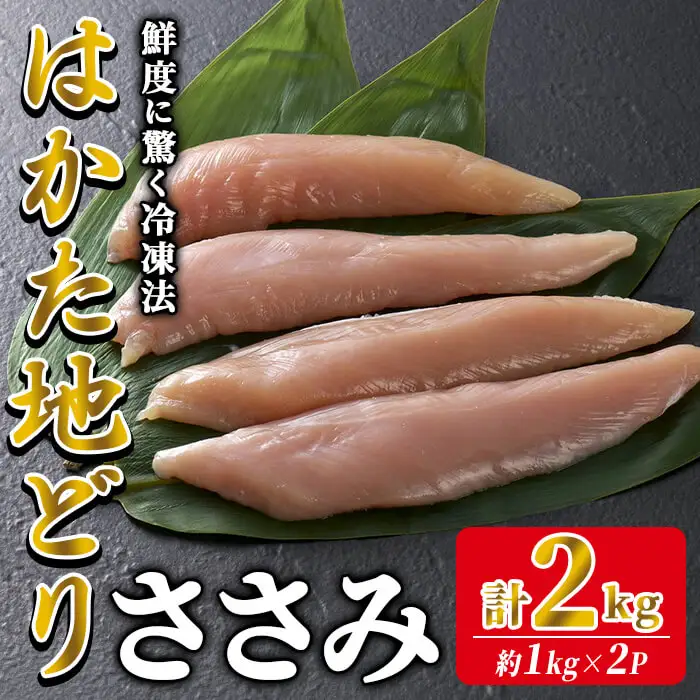 はかた地どり ささみ肉 (計2kg・1kg×2P) 真空パック ヘルシーなササミ 便利な小分け鶏肉 地鶏 地どり 鶏肉 九州 国産 ささみ チキン お肉 小分け 多用途 冷凍 急速冷凍＜離島配送不可＞【ksg1903】【E2C】
