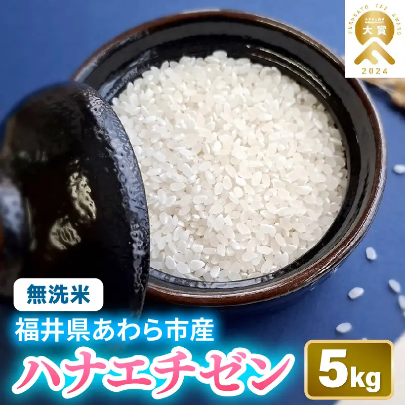 【令和8年産】 華越前 無洗米 5kg / 米 5キロ ハナエチゼン はなえちぜん 北陸 福井県産 あわら市 ブランド米 白米 お米 コメ こめ kome [aw056-a030_00]