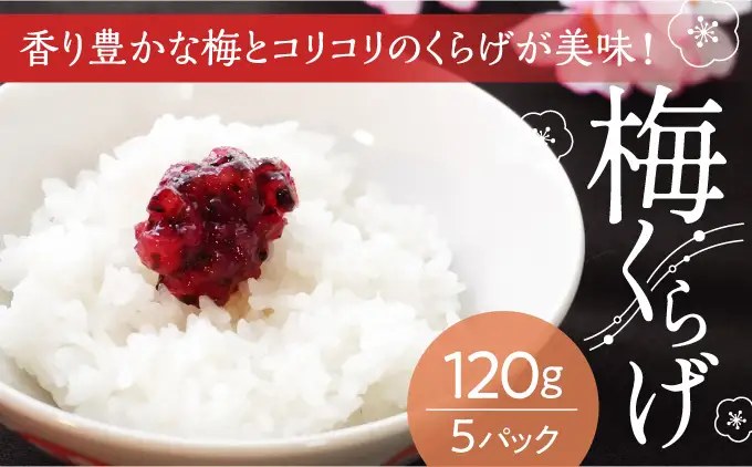 U-20【国産紀州南高梅使用】梅くらげ120g×5パック
