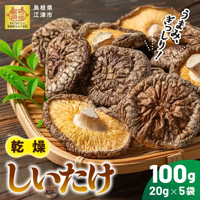 【農家直送】 江津市産 乾燥しいたけ 20g×5袋 (計100g) GO-1 ｜ 江津市産 国産 菌床椎茸 菌床 椎茸 シイタケ しいたけ 干し椎茸 乾物 乾燥 肉厚 小分け 家庭用