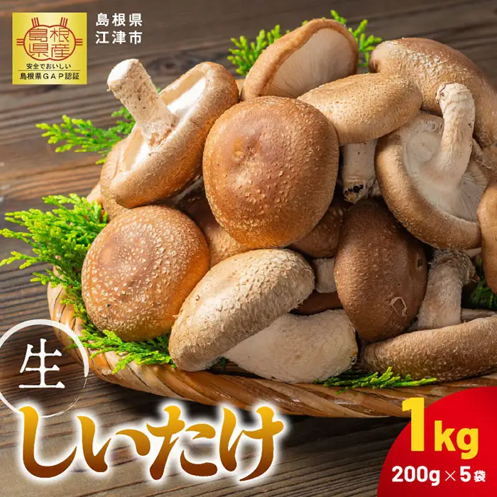 【先行予約】【農家直送】 江津市産 菌床 生しいたけ 200g×5袋 (計1kg) 【2026年11月～4月より順次発送】 GO-2 ｜ 江津市産 国産 生 椎茸 シイタケ しいたけ 菌床椎茸 菌床 肉厚 小分け 食べ応え 厚い 肉厚 うまみ 香り 濃厚 旨味 栄養豊富 食物繊維 低カロリー 鍋 炒め物 煮物 グリル 炊き込みご飯 家庭用