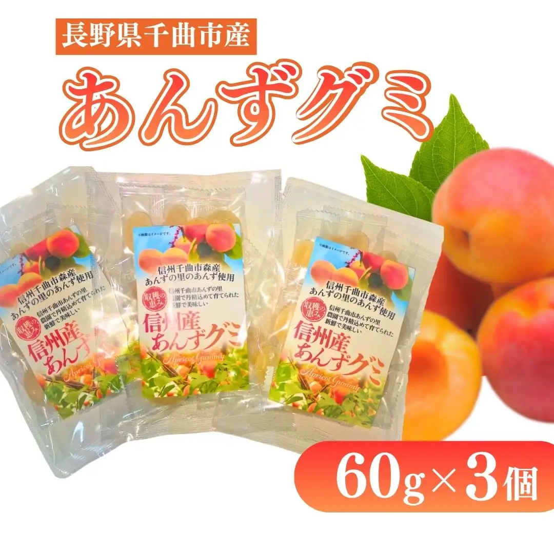 信州 千曲市 森産 あんずグミ3個セット (60g×3個) ｜ グミ 