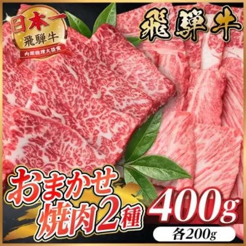 【訳あり】飛騨牛 おまかせ焼肉2種セット 約400g【配送不可地域：離島】【1738938】